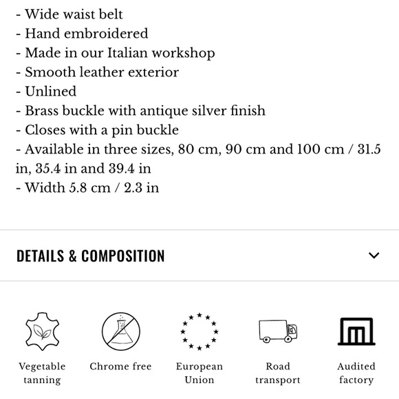 🌿|NWT| Sézane Louve Belt- 80cm - Picture 15 of 15